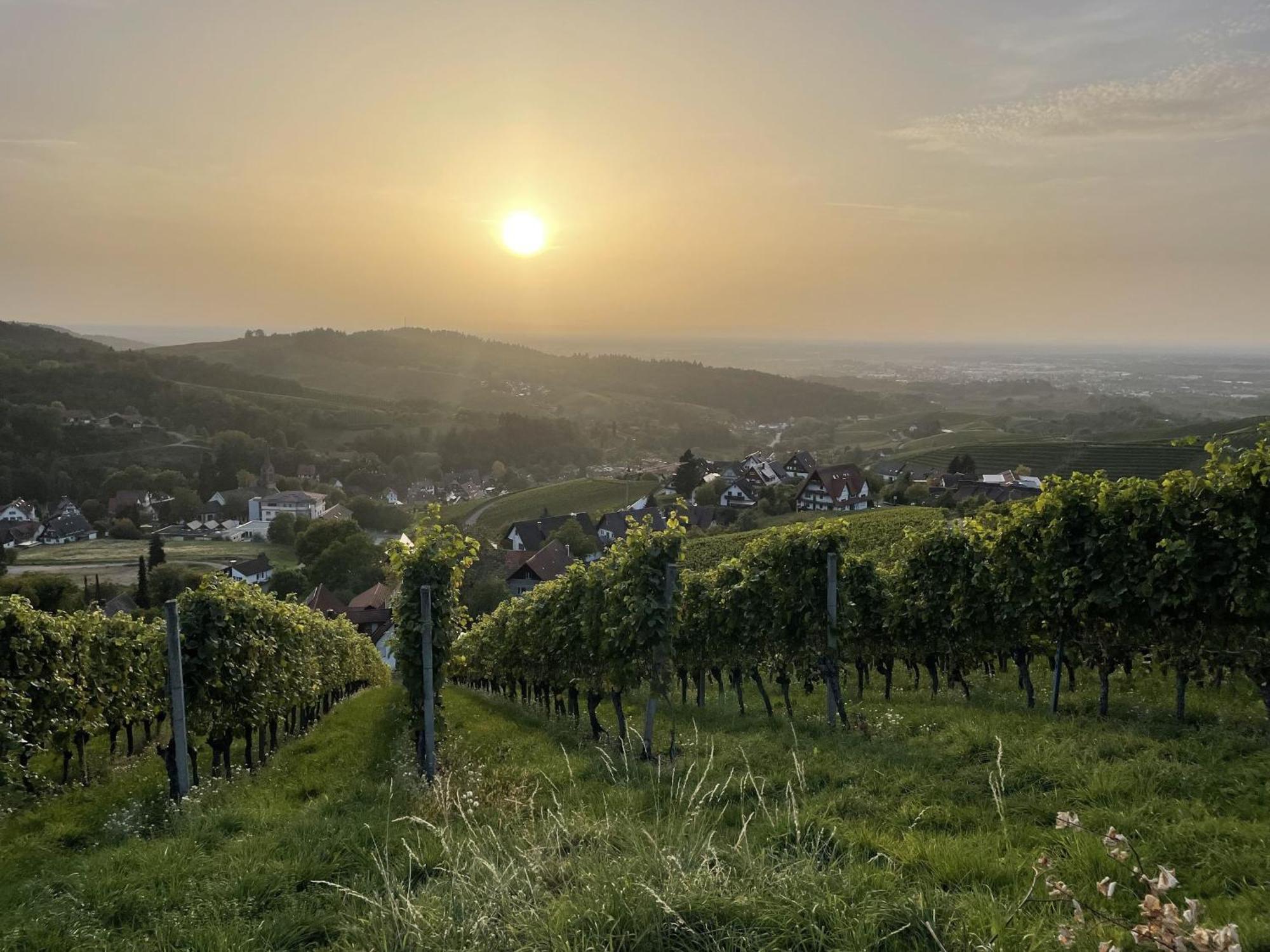 Ferienwohnung Wanderschoen Sasbachwalden Exterior foto