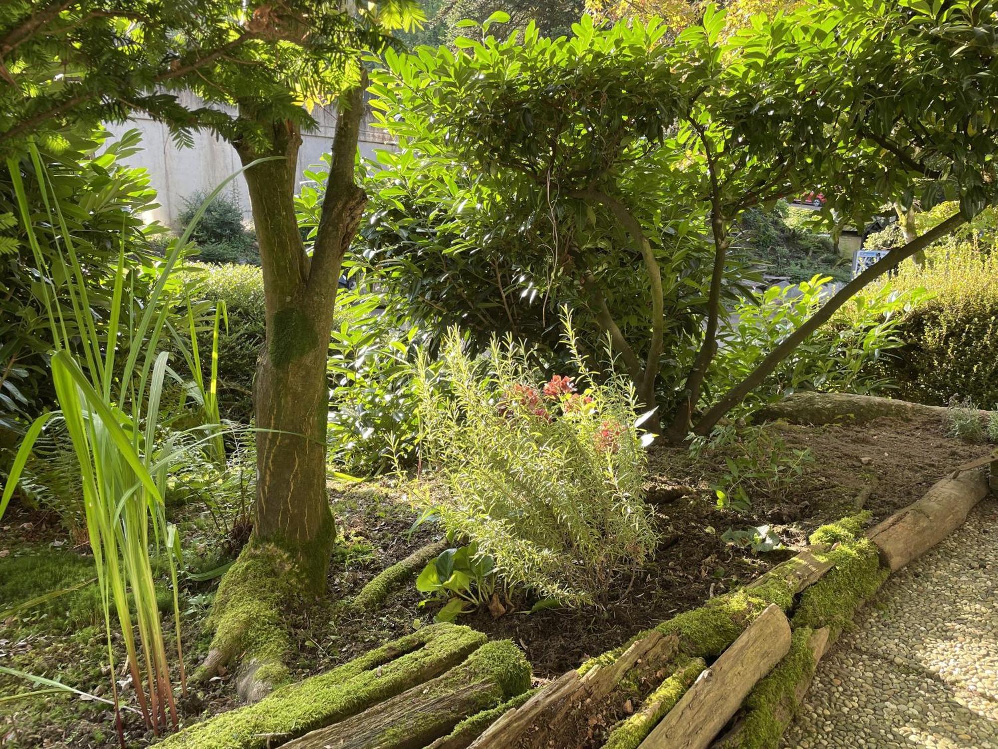 Ferienwohnung Wanderschoen Sasbachwalden Exterior foto
